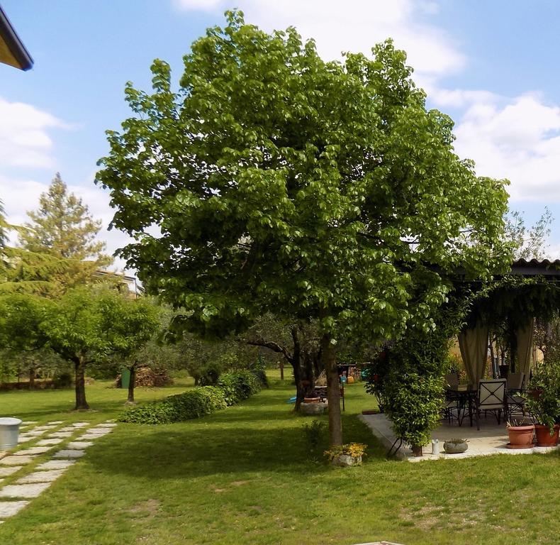 Due Archi Bed & Breakfast SantʼAmbrogio di Valpolicella Dış mekan fotoğraf