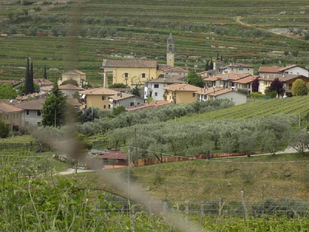 Due Archi Bed & Breakfast SantʼAmbrogio di Valpolicella Dış mekan fotoğraf