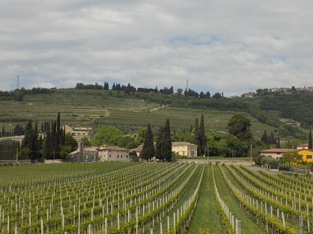 Due Archi Bed & Breakfast SantʼAmbrogio di Valpolicella Dış mekan fotoğraf